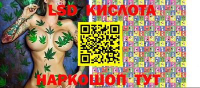 гашик Абинск