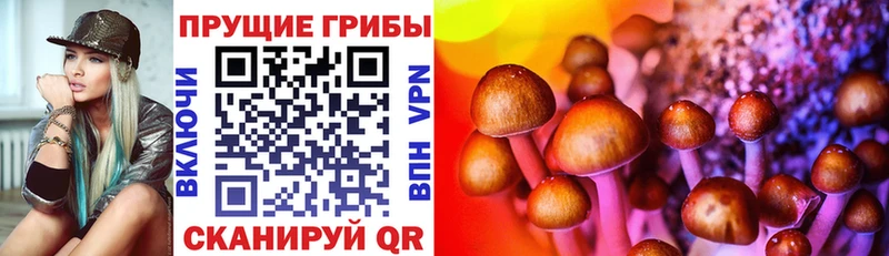 Псилоцибиновые грибы мицелий  Алушта 