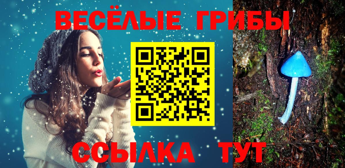 Алушта  МДМА  Мефедрон кристаллы  Вход с VPN  ТГК  Кокаин  ГАШ 